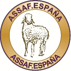 logo ASSAFE