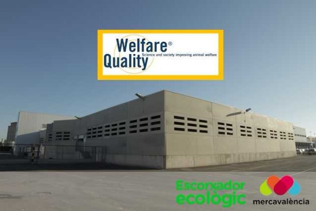 L'escorxador de Mercavalncia supera els requisits ms exigents de benestar animal i obt el certificat europeu Welfare Quality