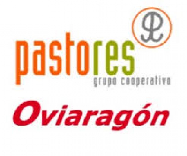 Oviaragón presenta sus cuentas anuales 2017 en su Asamblea General Ordinaria de socios.