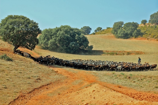 AGROBI PUBLICA SU 6� CATALOGO DE REPRODUCTORES