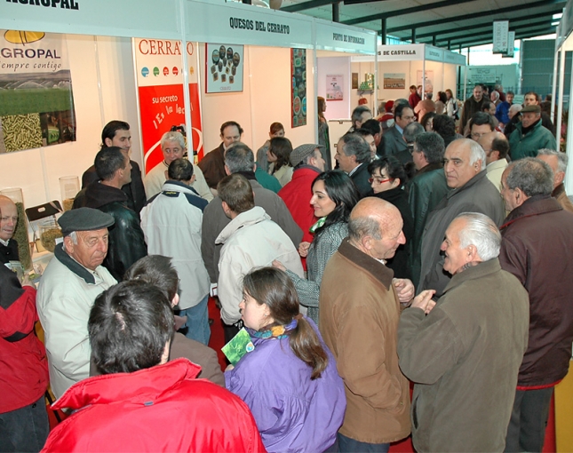 El prximo fin de semana se celebra en Palencia la Feria y el concurso anual de la raza Churra.