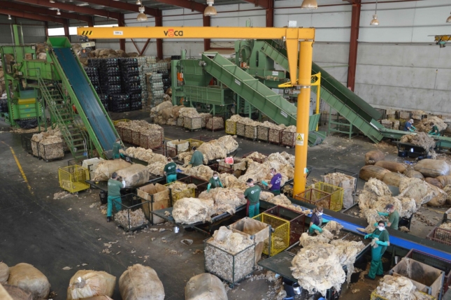El G.O. Filotat incorpora la metodologa japonesa lean management a la industria de la lana