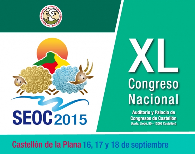 El Congreso de la SEOC de Castelln ya cuenta con un programa provisional de actividades