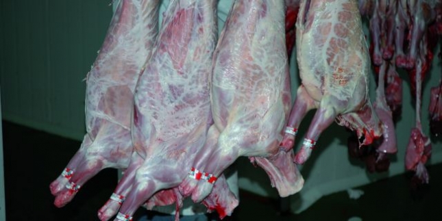 En la ltima dcada, la produccin de carne de ovino cae a la mitad y el precio al ganadero apenas ha subido