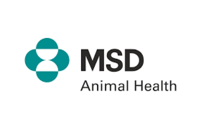 Presencia de MSD Animal Health en la primera edicin del Saln Ovinnova