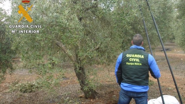 La Guardia Civil investigan a ganadero de Siruela (Badajoz) por la muerte de 60 ovejas