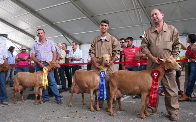 XXV EDICI�N DEL CONCURSO-SUBASTA NACIONAL Y VII CONCURSO DE PRODUCCI�N DE LA RAZA CAPRINA MALAGUE�A