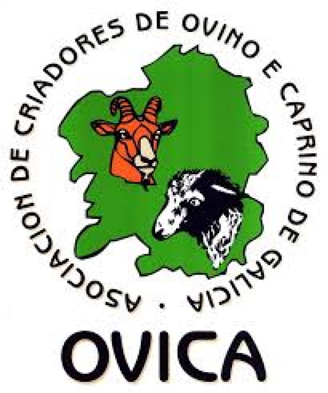 La Asociacin de Criadores de Ovino y Caprino de Galicia presenta su recetario