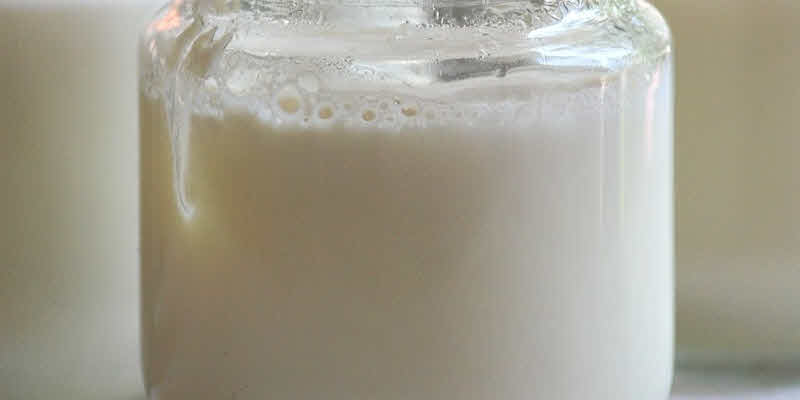 leche fermentada cabra 17