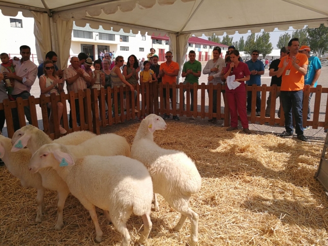 La Consejera destaca el potencial del ovino y asegura que no hay lengua azul en Castilla y Len