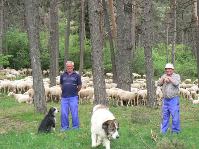 La Familia Tesa Aquilu� de Casa Martina (Ara, Huesca) recibe el Premio Biodiversidad a la ganader�a de ovino y caprino en Arag�n 2016