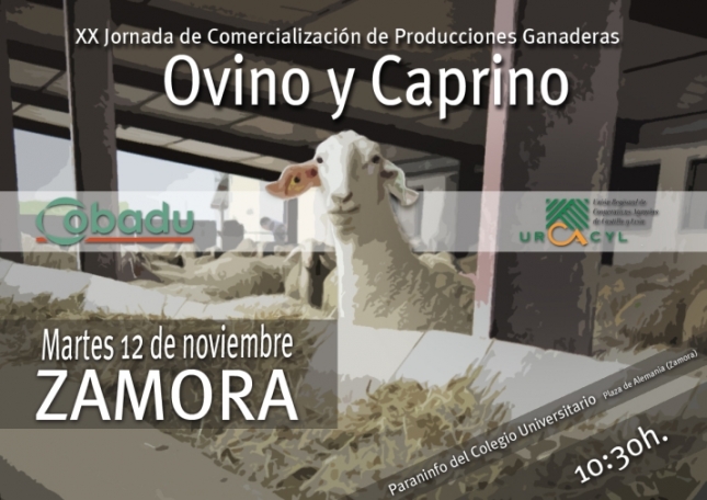 COBADU analiza hoy en Zamora la situacin del mercado del ovino y el caprino en unas jornadas tcnicas