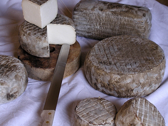 La feria de Slow Food explora nuevas formas de hacer queso en casa como si fuera pan
