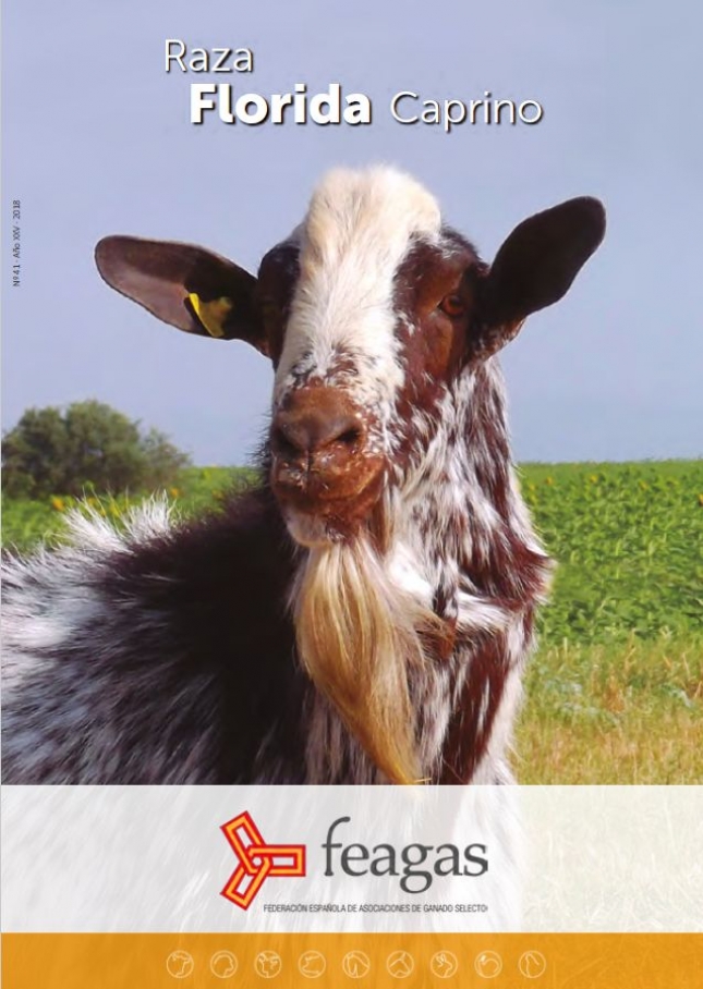 FEAGAS PUBLICA EL N�MERO 41 DE SU REVISTA