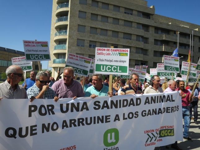 150 ganaderos se concentran en Salamanca para exigir una sanidad que no arruine al sector