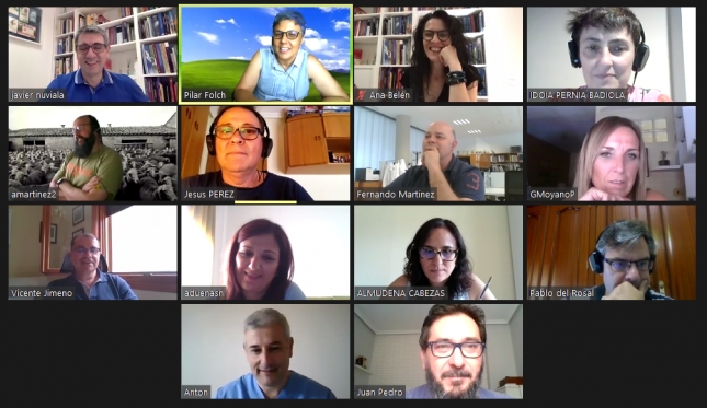 Encuentro virtual del grupo de expertos Solomamitis de Pequeos Rumiantes