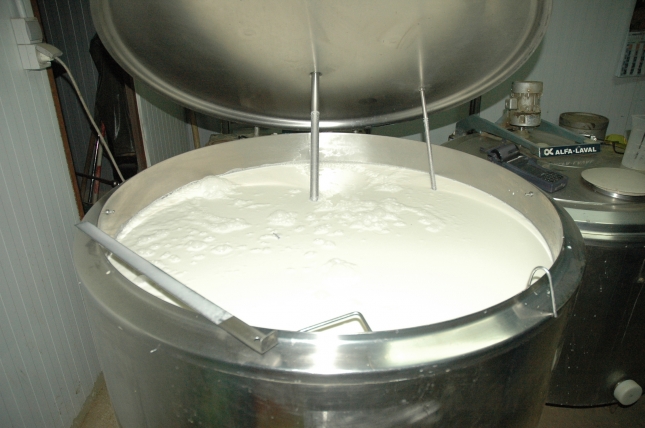 El nmero de industrias que compran leche de cabra en Espaa cay un 8,1% en el ltimo ao