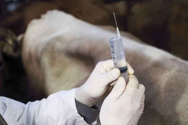 La OIE publica su informe anual sobre la utilizacin de antimicrobianos en animales