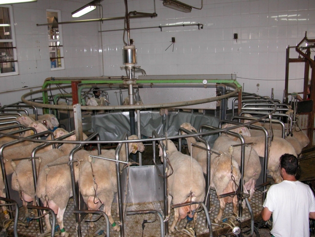 Estabilidad en el nmero de contratos lcteos de leche de oveja en febrero