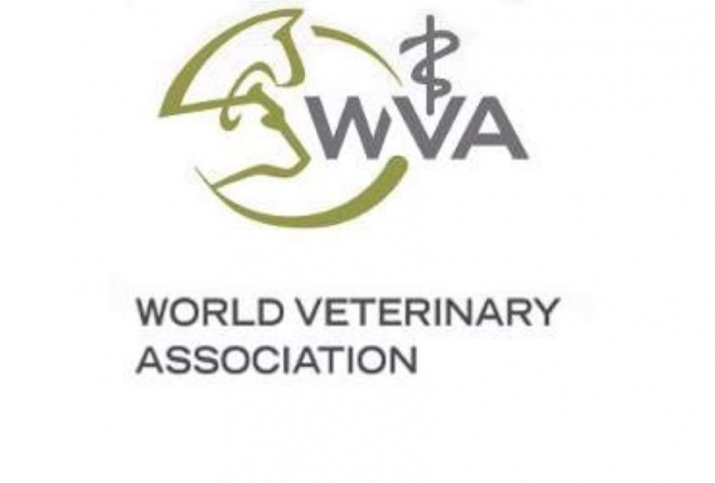 Espaa expone ante la World Veterinary Association los datos sobre el COVID-19