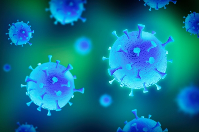 Importancia de la labor sanitaria preventiva de los veterinarios para evitar las zoonosis