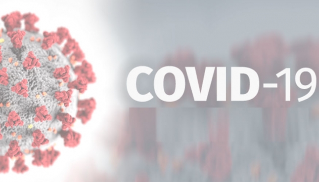 La OIE y la Asociacin Mundial Veterinaria emiten una declaracin sobre el Covid-19