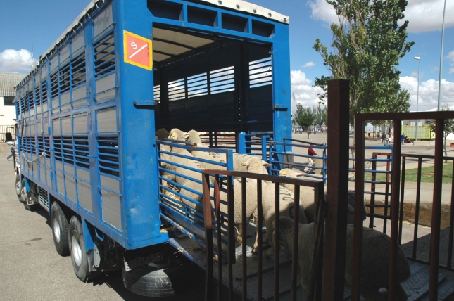 El Gobierno Vasco regula los requisitos sanitarios para el movimiento de animales ante el Covid-19