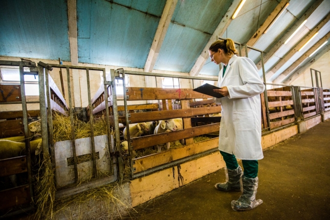 Pruebas dirigidas al ganado caprino en el Programa de Erradicación de Tuberculosis Bovina