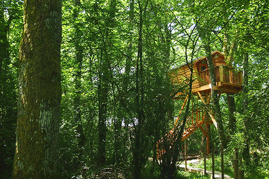 Navarra inaugura su primer complejo turístico con cabañas en árboles. Basoa  Suites, un alojamiento singular - Decoración e Interiorismo