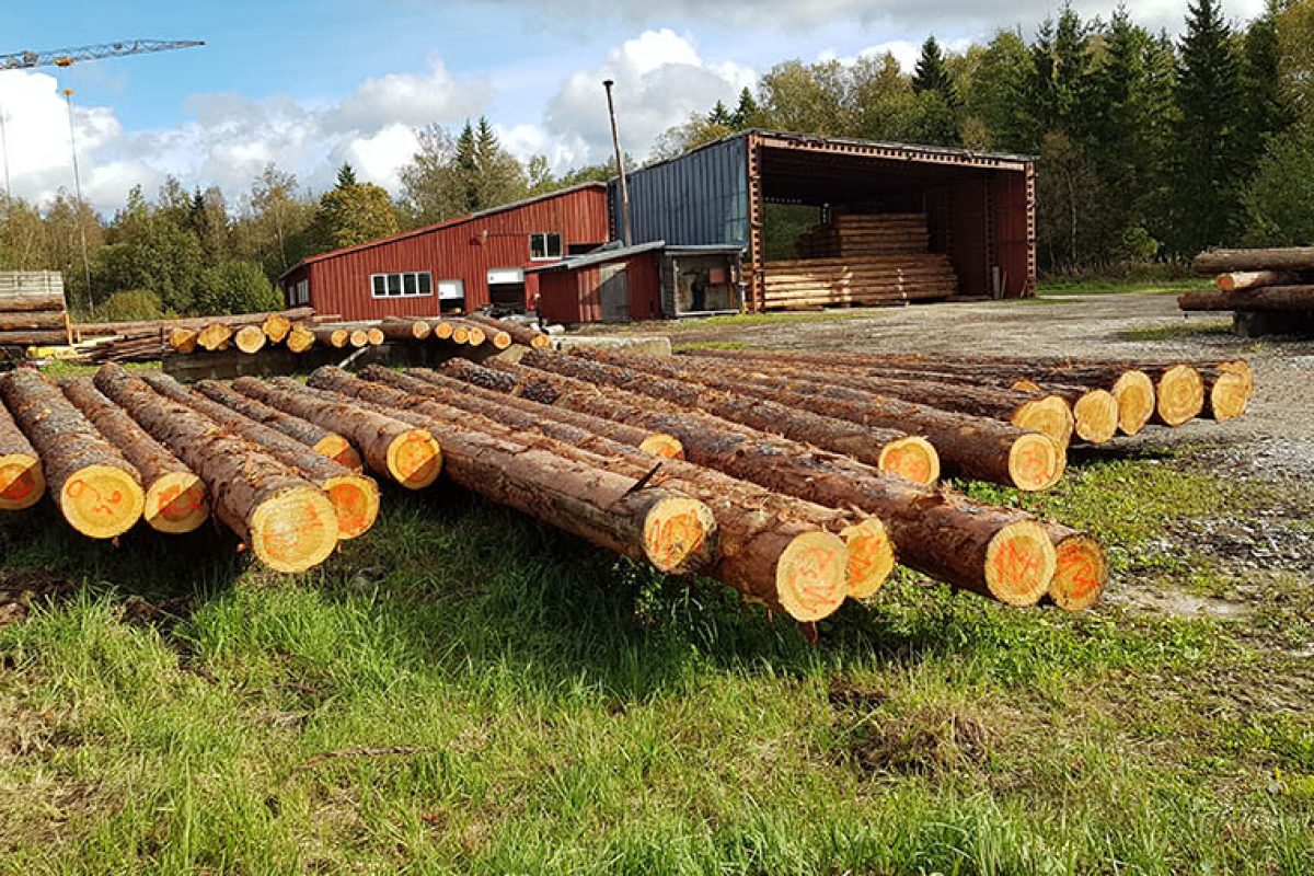 El proyecto ERASMUS+FUTUREfacing, al que pertecenece ILVA, visita Estonia para conocer la industria de la madera en el este de Europa